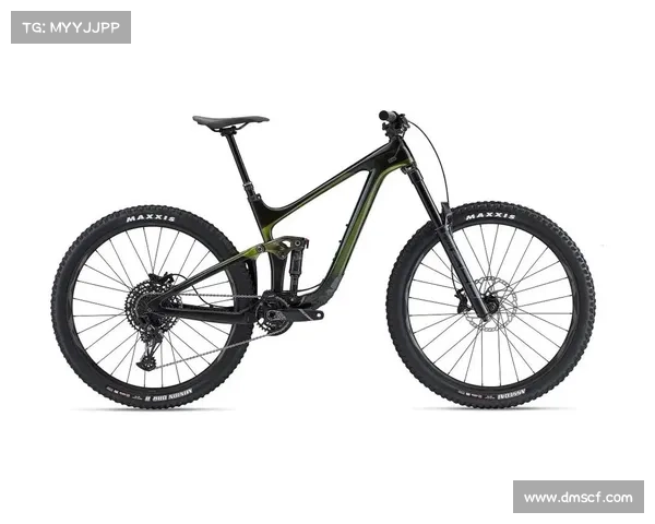 世界三大自行车赛事 世界三大名牌自行车