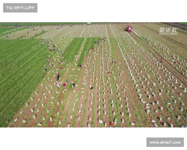 大荔县视频 大荔县视频