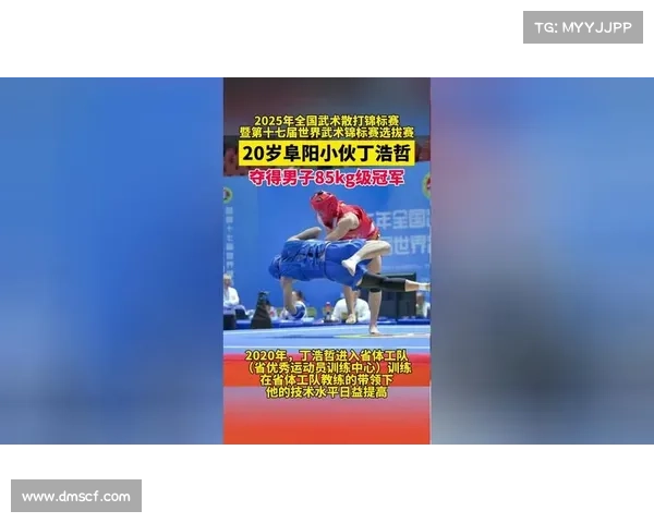 世界散打比赛全球武道巅峰对决：世界散打王者争霸赛激战风云