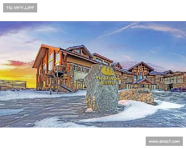 各项赛事进展情况,国内外各项赛事最新进展动态实时追踪与深度解析